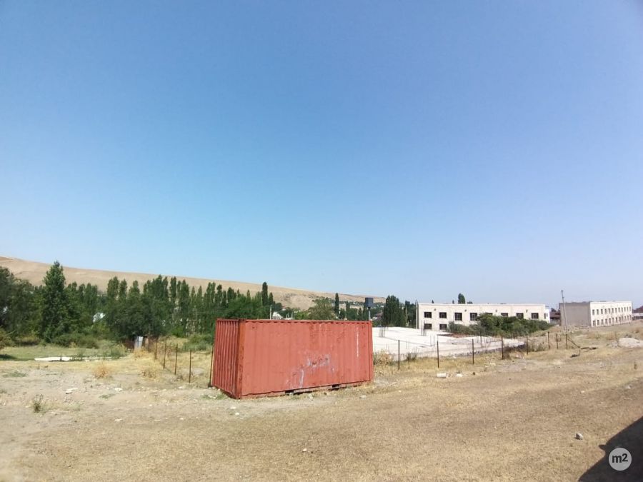 1700023054_38243100.jpg
