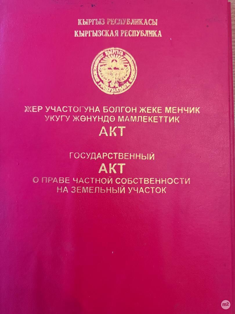 1773212041_41274300.jpg