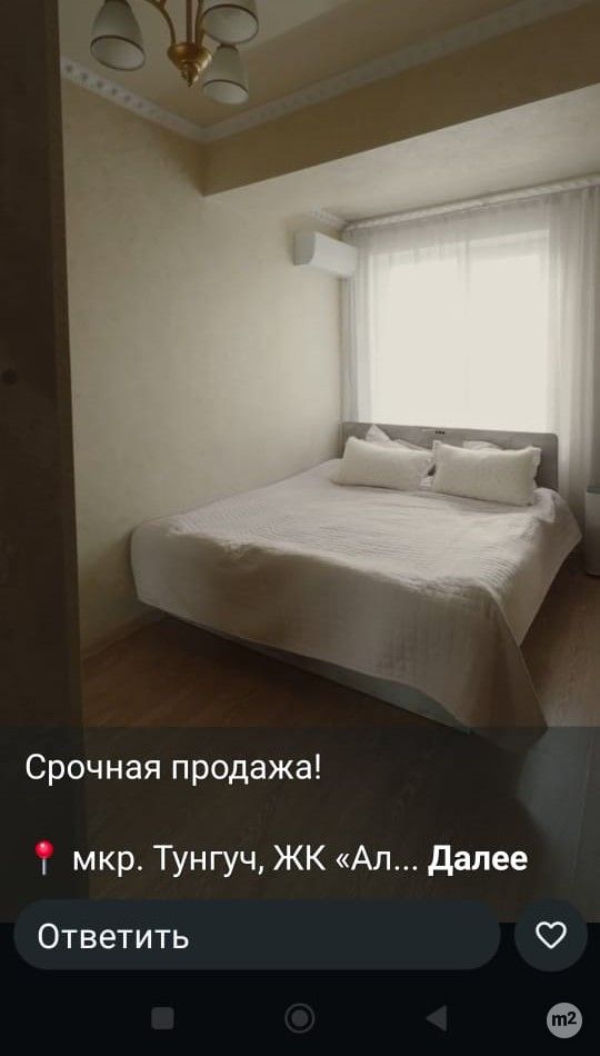 1777462262_42450500.jpg