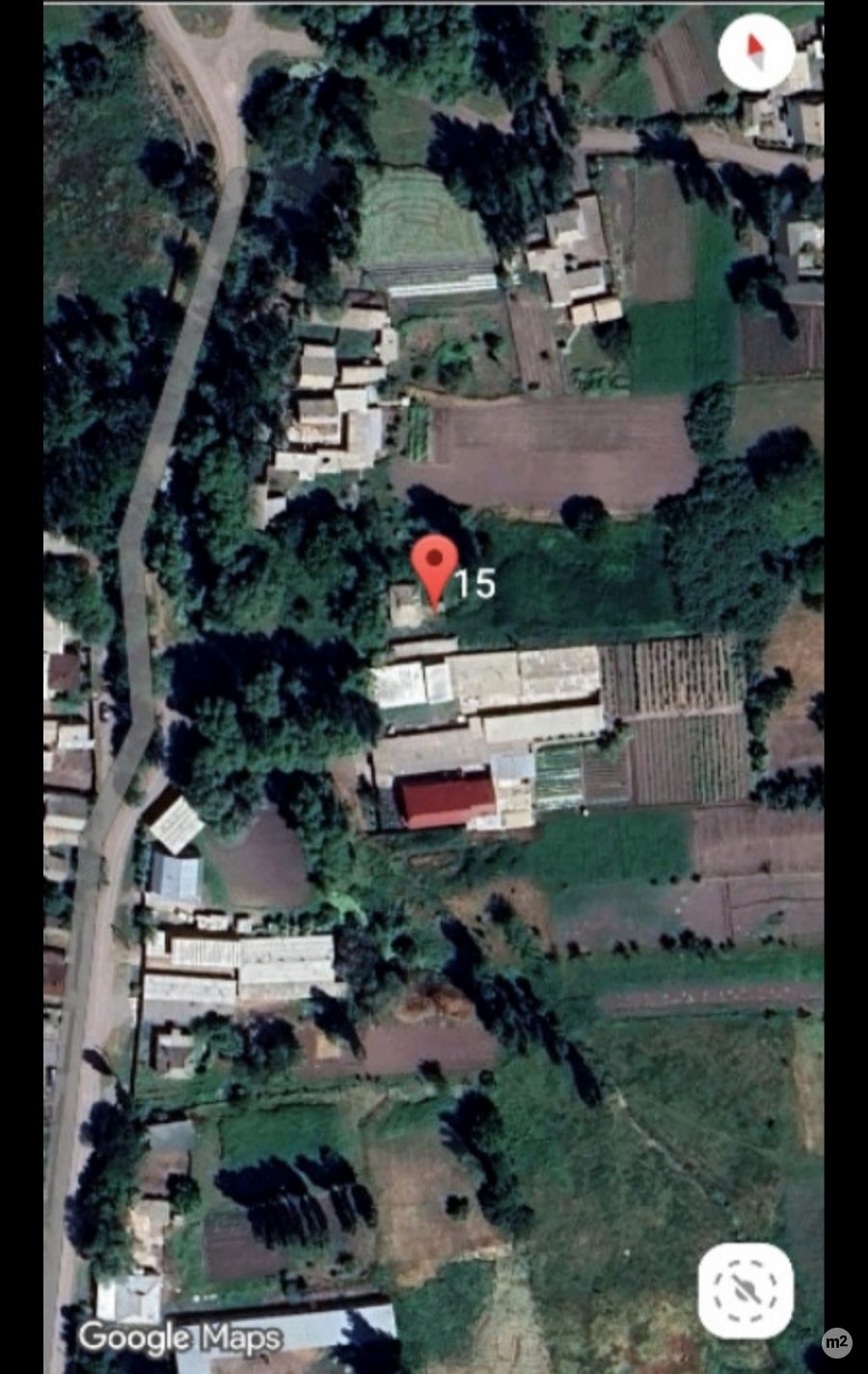1784895625_98915500.jpg