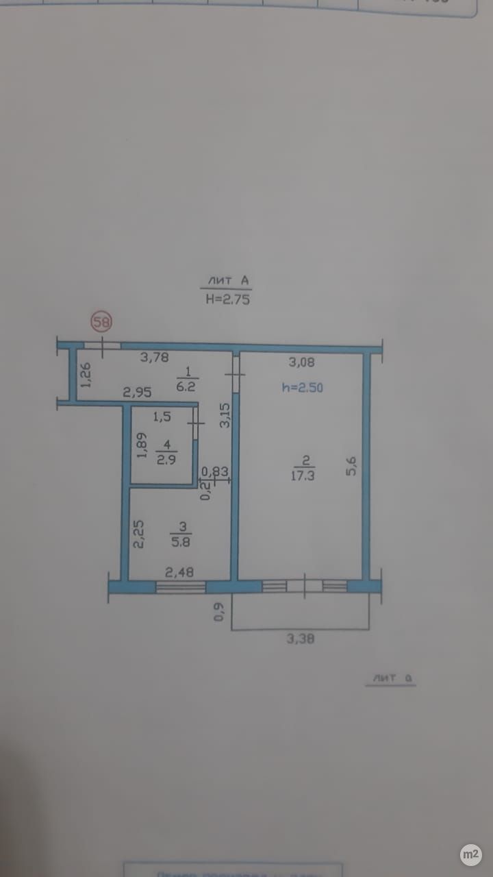 1749794134_82852500.jpg