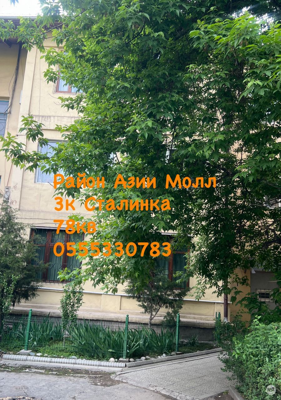 1779072955_19816200.jpg