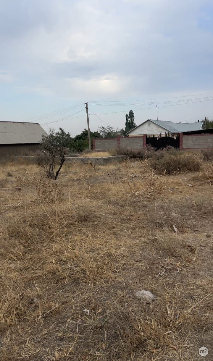 1790240892_19073900.jpg