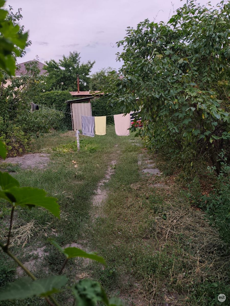 1791263398_25697100.jpg