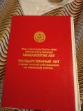 Участок 19.00 соток(с. Военно - Антоновка, Сокулукский район, Чуйская область)