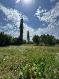 Участок 15.00 соток, Шукуралиева  18а(с. Шалта, Сокулукский район, Чуйская область)